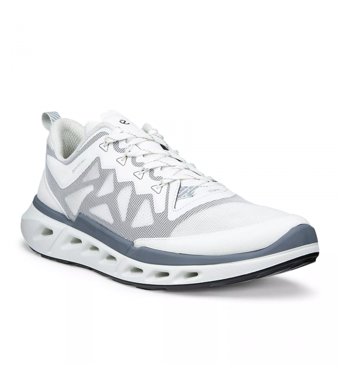 Кроссовки Ecco ECCO Biom 720 M White 850314/61644