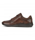 sport poyafzal Ecco 511734/55738